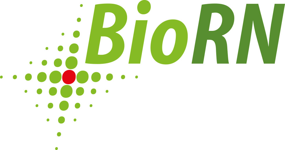 Logo: BioRN (Biotech Cluster Rhine-Neckar)